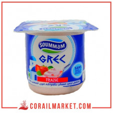 Yaourt aux fraise Grec soummam 90 g