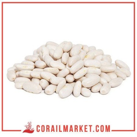 Haricot blanc