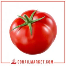 Tomate