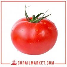 Tomate