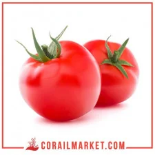 Tomate