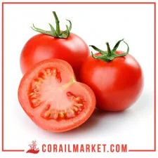 Tomate