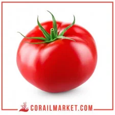 Tomate