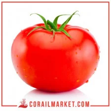 Tomate