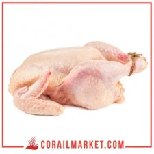 دجاجة كاملة