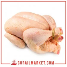 دجاجة كاملة