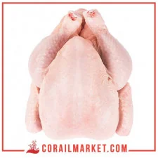 دجاجة كاملة