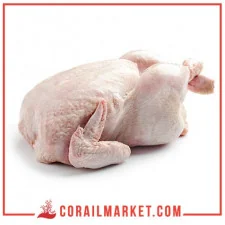 دجاجة كاملة