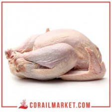 دجاجة كاملة