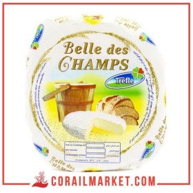 Fromage camembert Belle Des Champs  Trefle 500 g