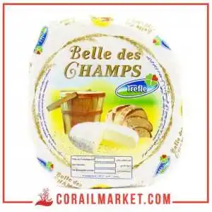 Fromage camembert Belle Des Champs Trefle 500 g