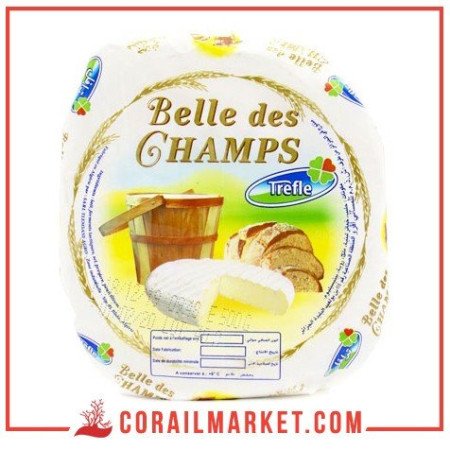 Fromage camembert Belle Des Champs  Trefle 500 g