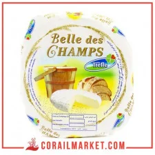Fromage camembert Belle Des Champs Trefle 500 g
