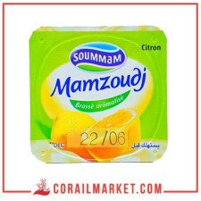 Yaourt  mamzoudj soummam 100 g