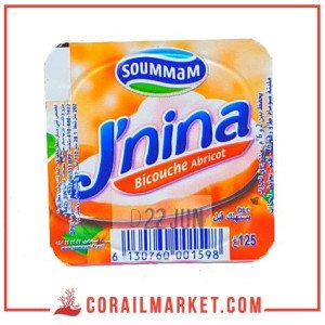Yaourt bicouche  jnina  soummam 125 g