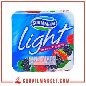 Yaourt gout fraise sans sucres ajoutés light soummam 100 g