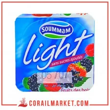 Yaourt gout fraise sans sucres ajoutés light soummam 100 g