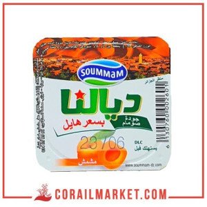 ياغورت ديالنا  صومام 100غ