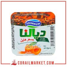 Yaourt  Dialna soummam 100 g
