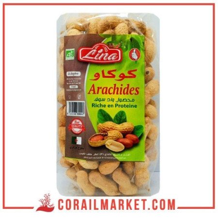 arachides salés lina 250 g