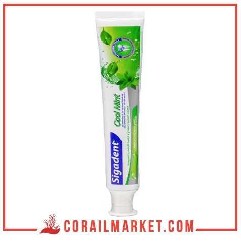 Dentifrice à la menthe fraîche et extraits naturels des plantes cool mint sigadent 100g Dentifrice à la menthe fraîche et extraits naturels des plantes cool mint sigadent 100g