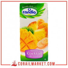 Jus cocktail de fruits Candia 1 L