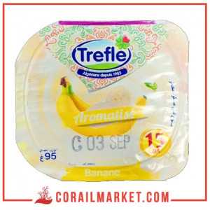 Yaourt aromatisé trefle 95 g