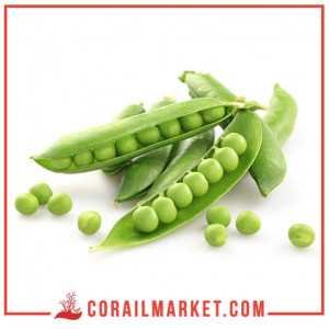 بازلاء خضراء