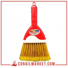 مكنسة فناتيك