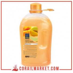 Savon liquide senteur mangue et melon aqua vera 2,5 l