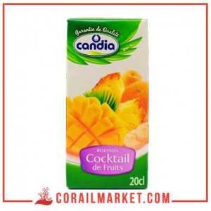 Jus cocktail de fruits Candia 20 cl