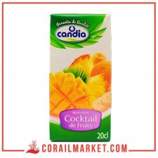 Jus cocktail de fruits Candia 20 cl