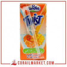 Boisson au lait orange mangue twist Candia 20 cl