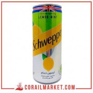 Boisson gazeuse citron menthe Schweppes 24 cl