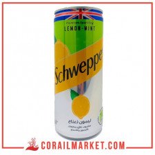 Boisson gazeuse citron menthe Schweppes 24 cl