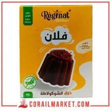 فلان ذوق الشوكولاطة بدون غلوتين ريجينا 110 غ