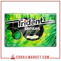 Trident Chewing-gum Goût Menthe Senses 23 G