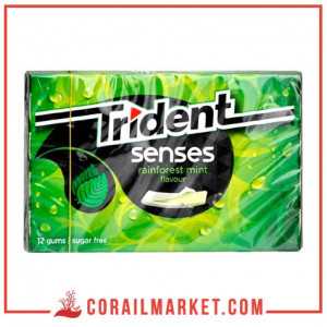Chewing-gum goût menthe senses trident 23 g
