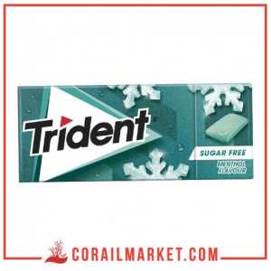 Chewing-gum goût menthol trident 14,5 g