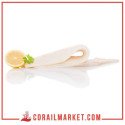 The Fisherman Filet De Pangasius (sol) 500 G
