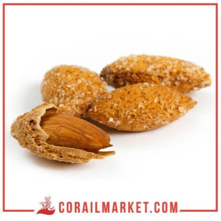 Amandes avec peau salé 100 g
