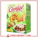 رقائق الفطور كريات بالشوكولاطة سريغال  25 غ