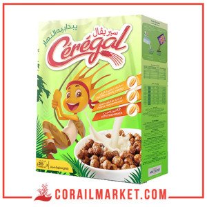 Cérégal Céréales Boules Aux Chocolat 25 G