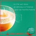 thé  EN CAPSULE NESCAFÉ DOLCE GUSTO MARRAKECH 16 P