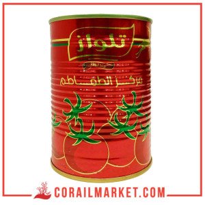 Telloise Tomate Double Concentré 22% 380 G