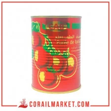 Tomate double concentré 22% cab 400 g