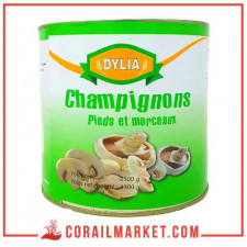 Champignons morceaux dylia 2.5 kg