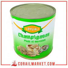 Champignons morceaux dylia 2.5 kg