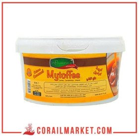 caramel INFLUENCE  500 g