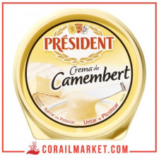 crème de Fromage de camembert Président 125 g